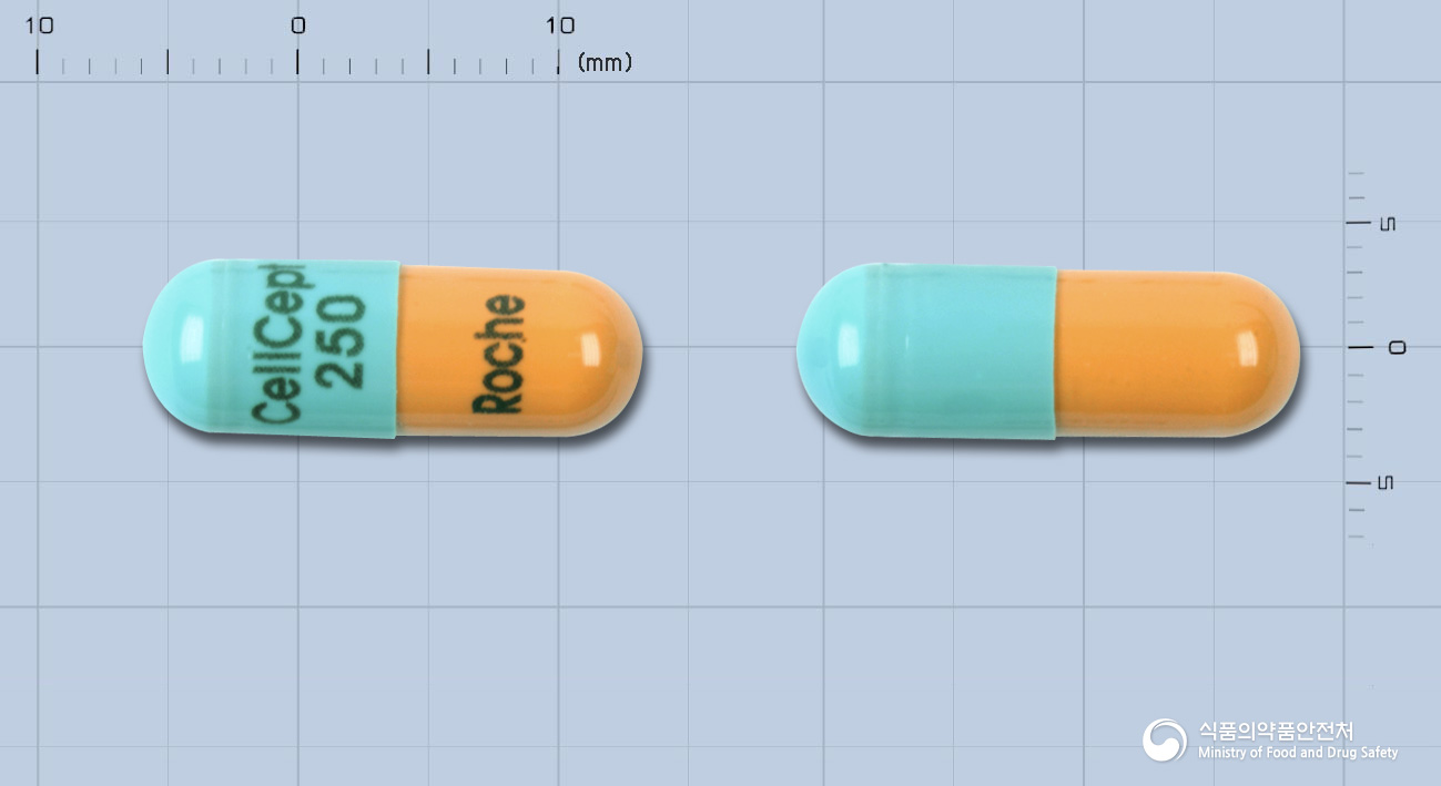셀셉트캡슐250밀리그램(미코페놀레이트모페틸)