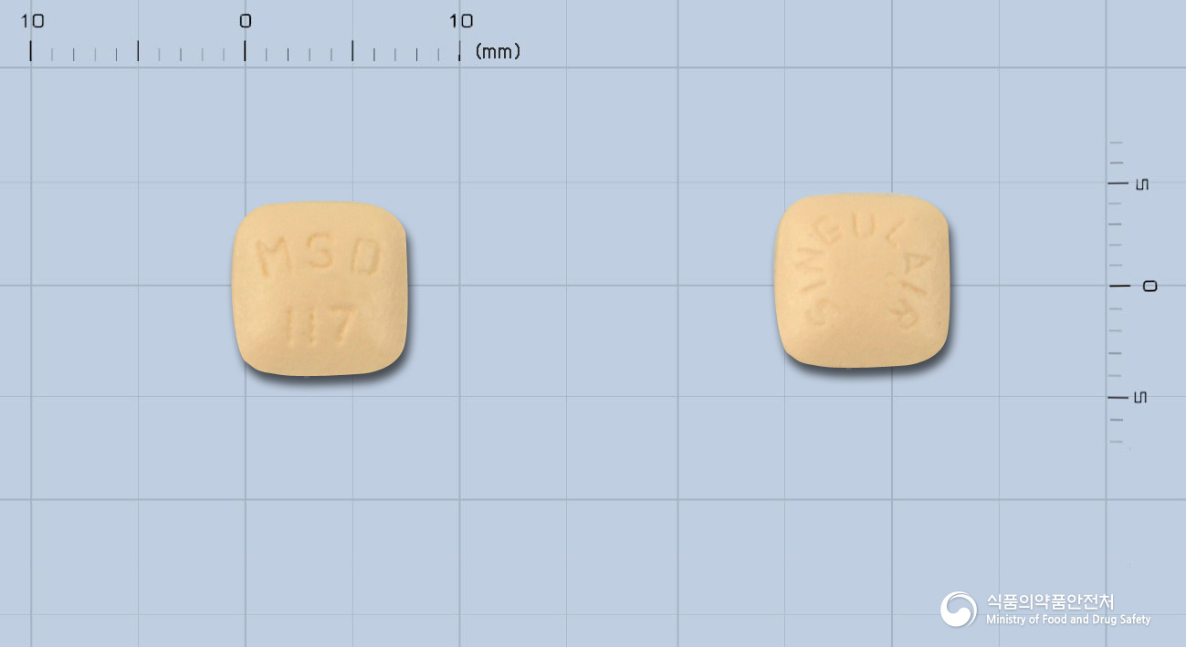 싱귤레어정10밀리그램(몬테루카스트나트륨)