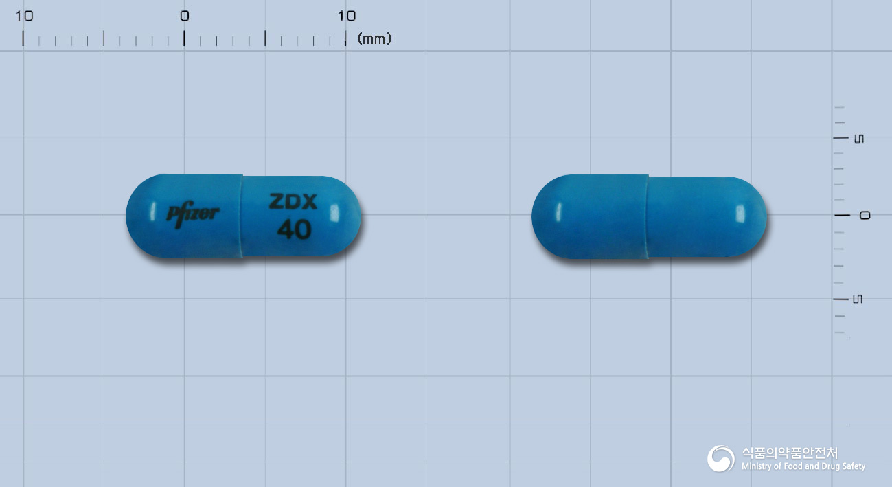 젤독스캡슐40밀리그램(염산지프라시돈일수화물)