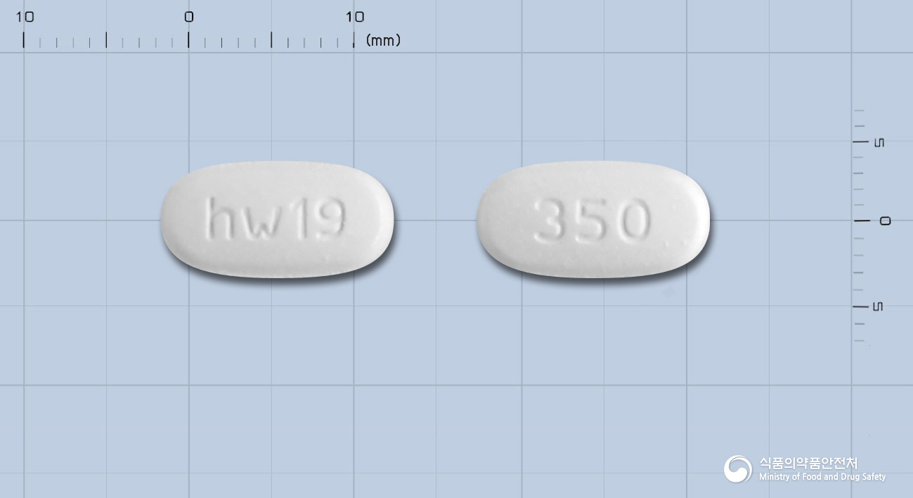 모니트정350밀리그램(모니플루메이트)