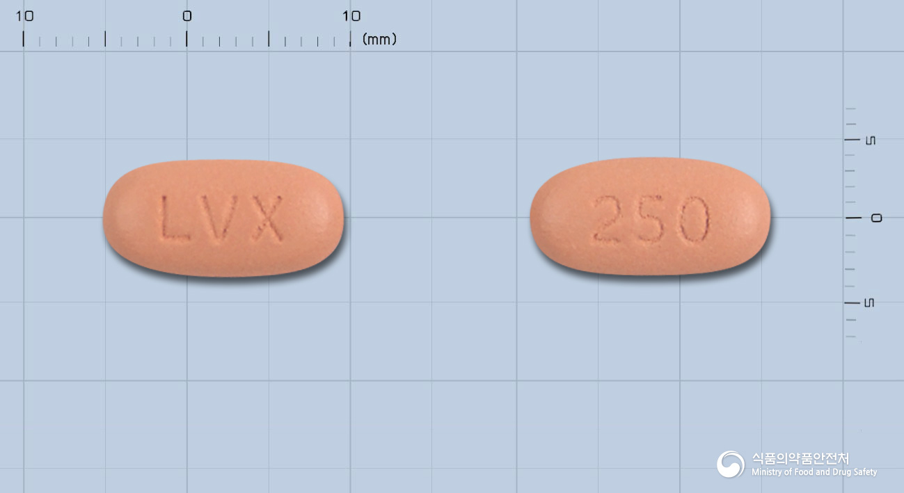 레바록스정250mg(레보플록사신수화물)