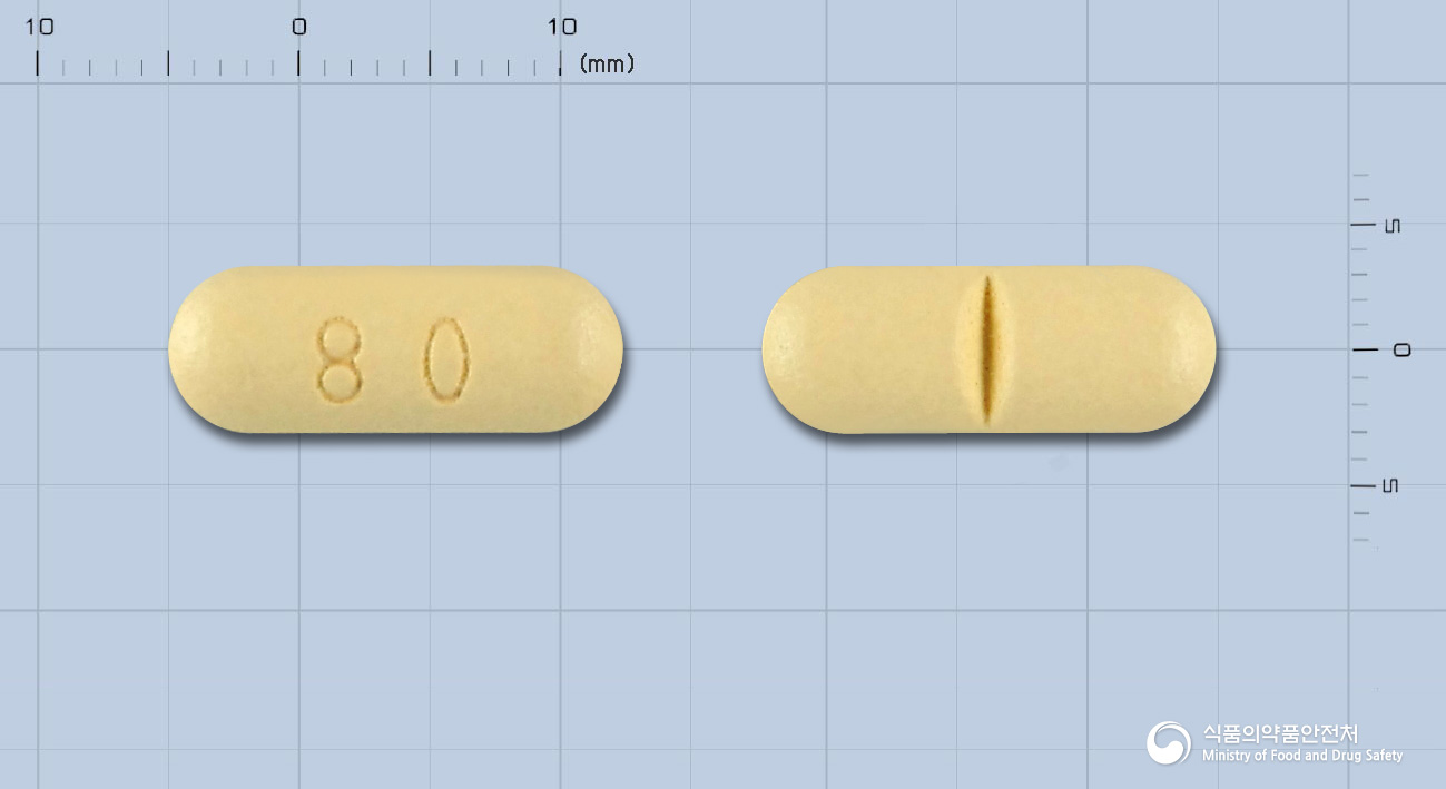 페브릭정80mg(페북소스타트)