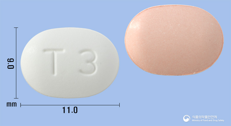 텔미트렌플러스정40/12.5밀리그램