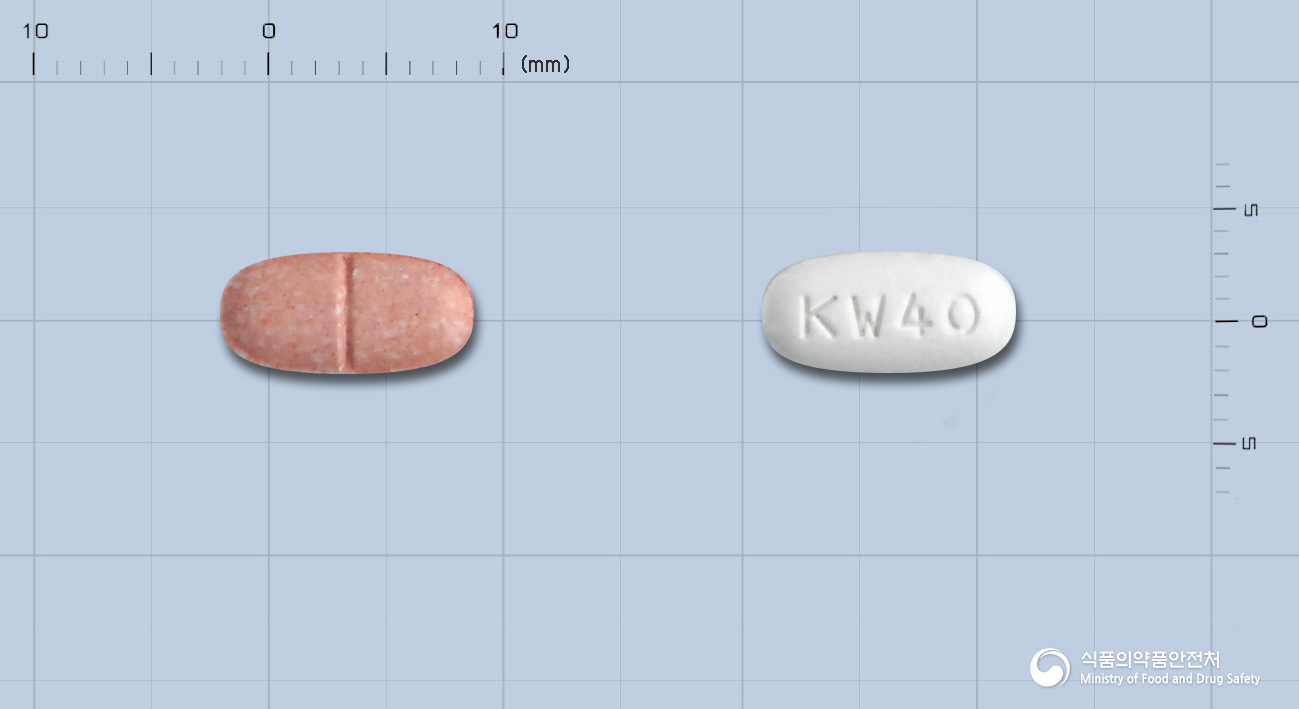 미카탄플러스정40/12.5밀리그램