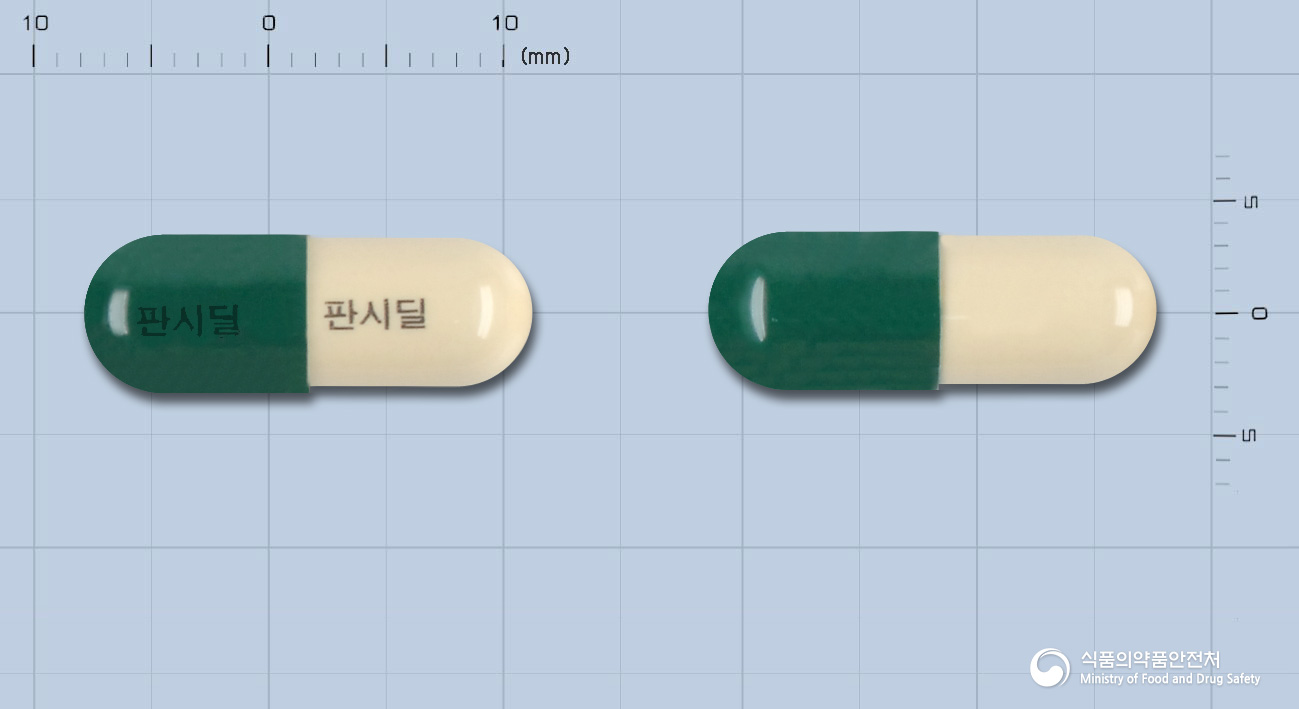 판시딜캡슐