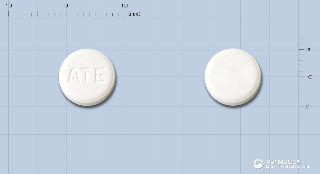 안타에정