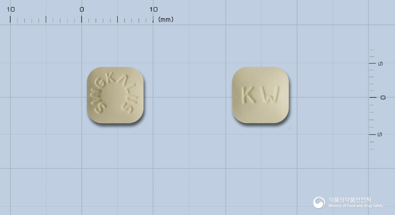 싱카루스정10밀리그램(몬테루카스트나트륨)