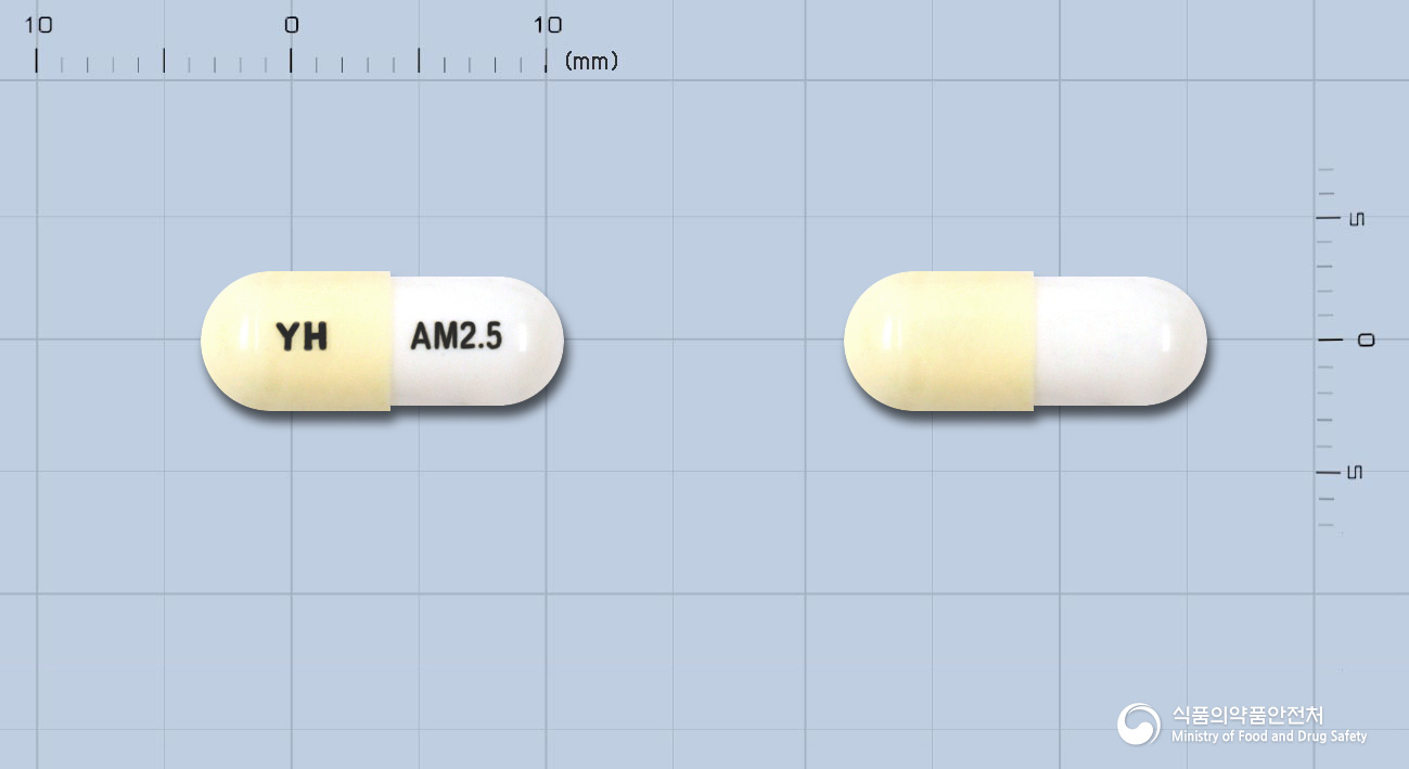 암로핀캡슐2.5밀리그람(암로디핀말레산염)