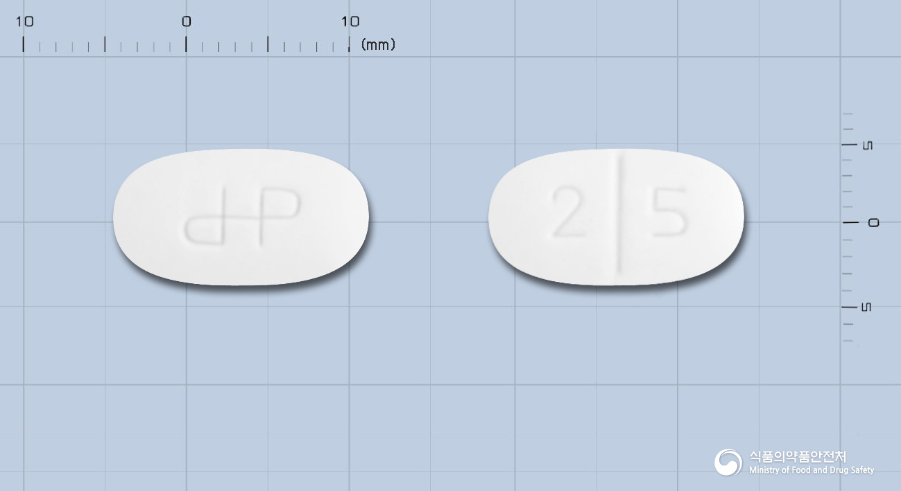 포디엠정2/500밀리그램