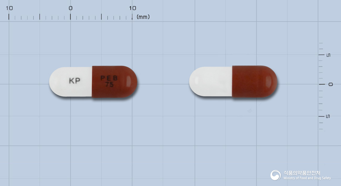 리가린캡슐75mg(프레가발린)