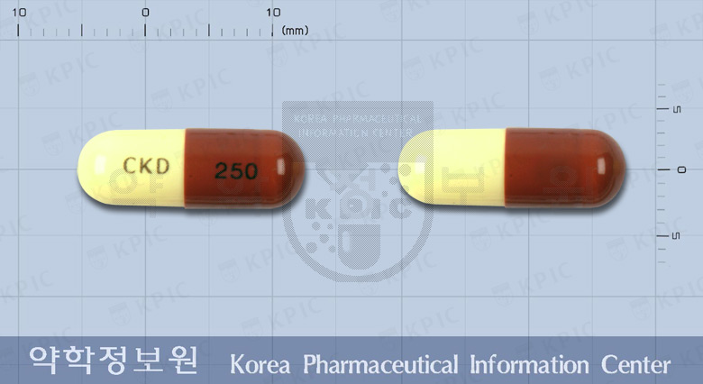 헤로세친캅셀250밀리그람(클로람페니콜)