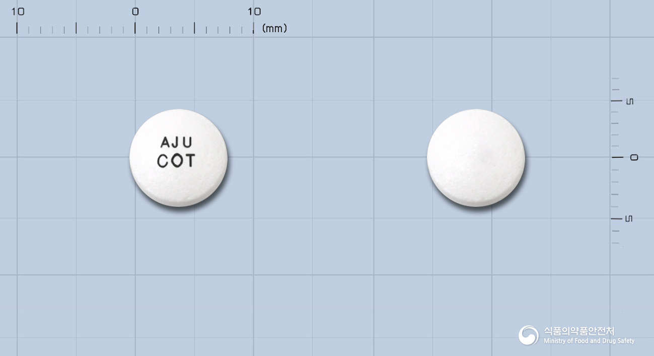 크록사신정(레보플록사신수화물)