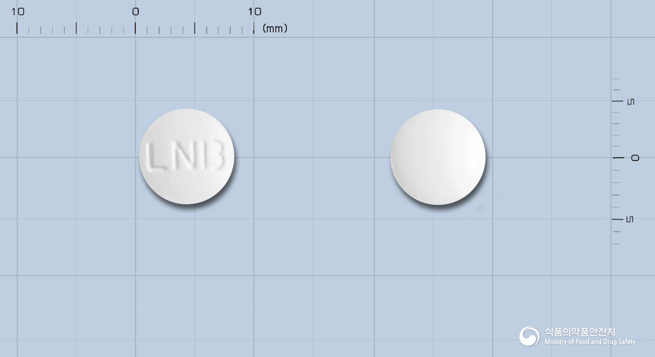 레노보정(레보플록사신수화물)
