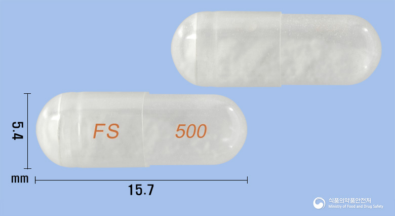 플루테롤흡입용캡슐500/50