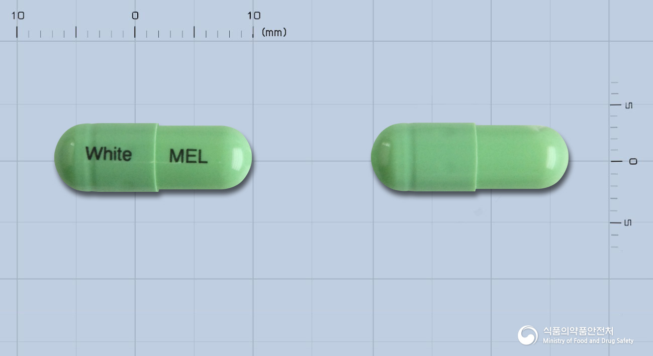 이콕스캡슐(멜록시캄)