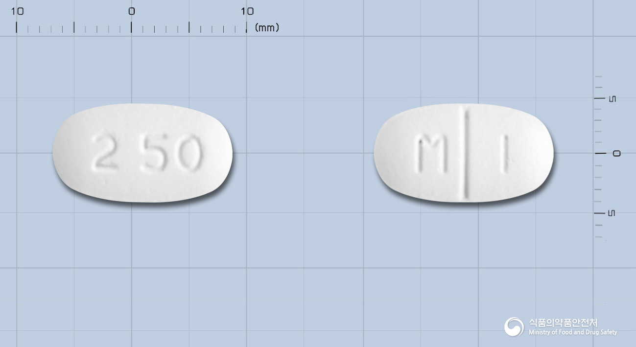 이메릴엠정2/500mg