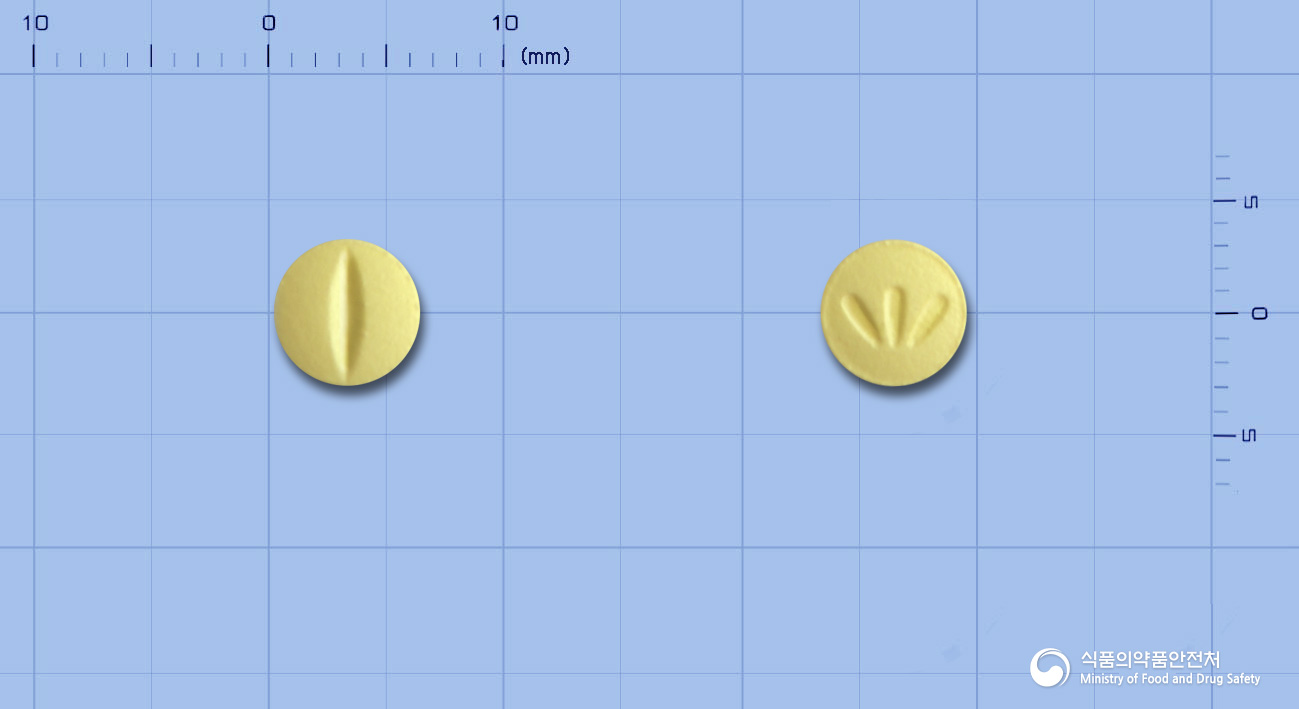 레리칸정(레르카니디핀염산염)