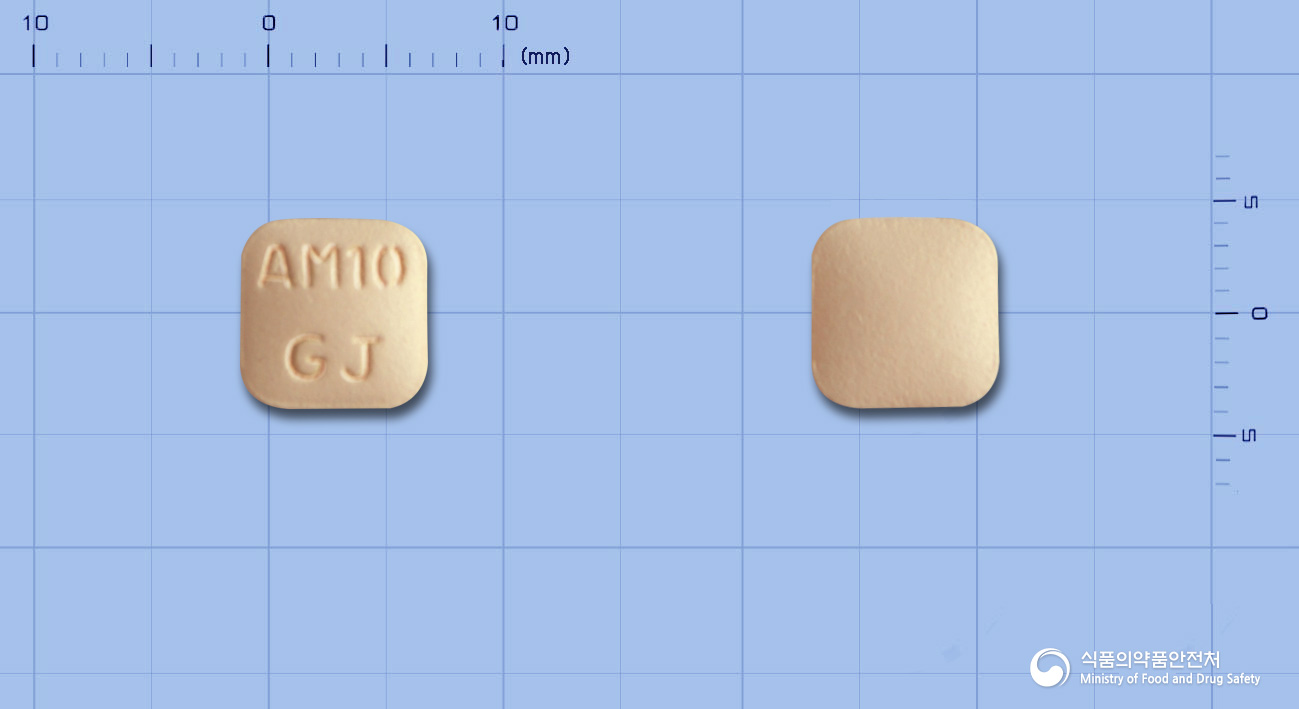 알러몬트정10mg(몬테루카스트나트륨)