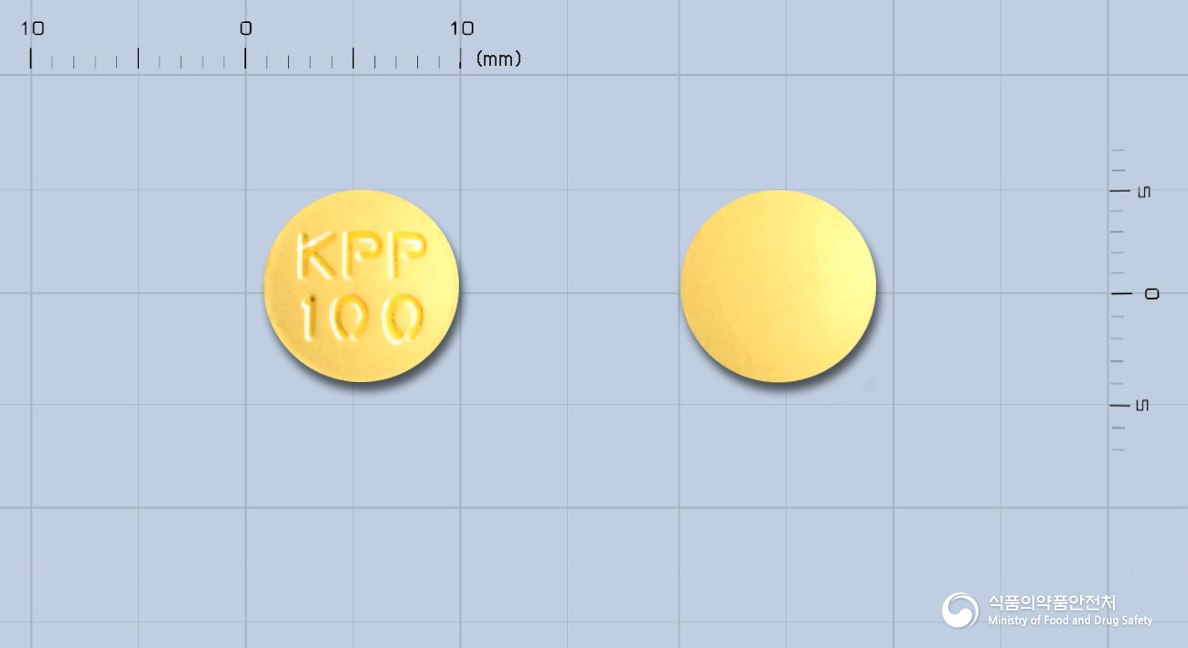 쿠에핀정100밀리그램(쿠에티아핀푸마르산염)