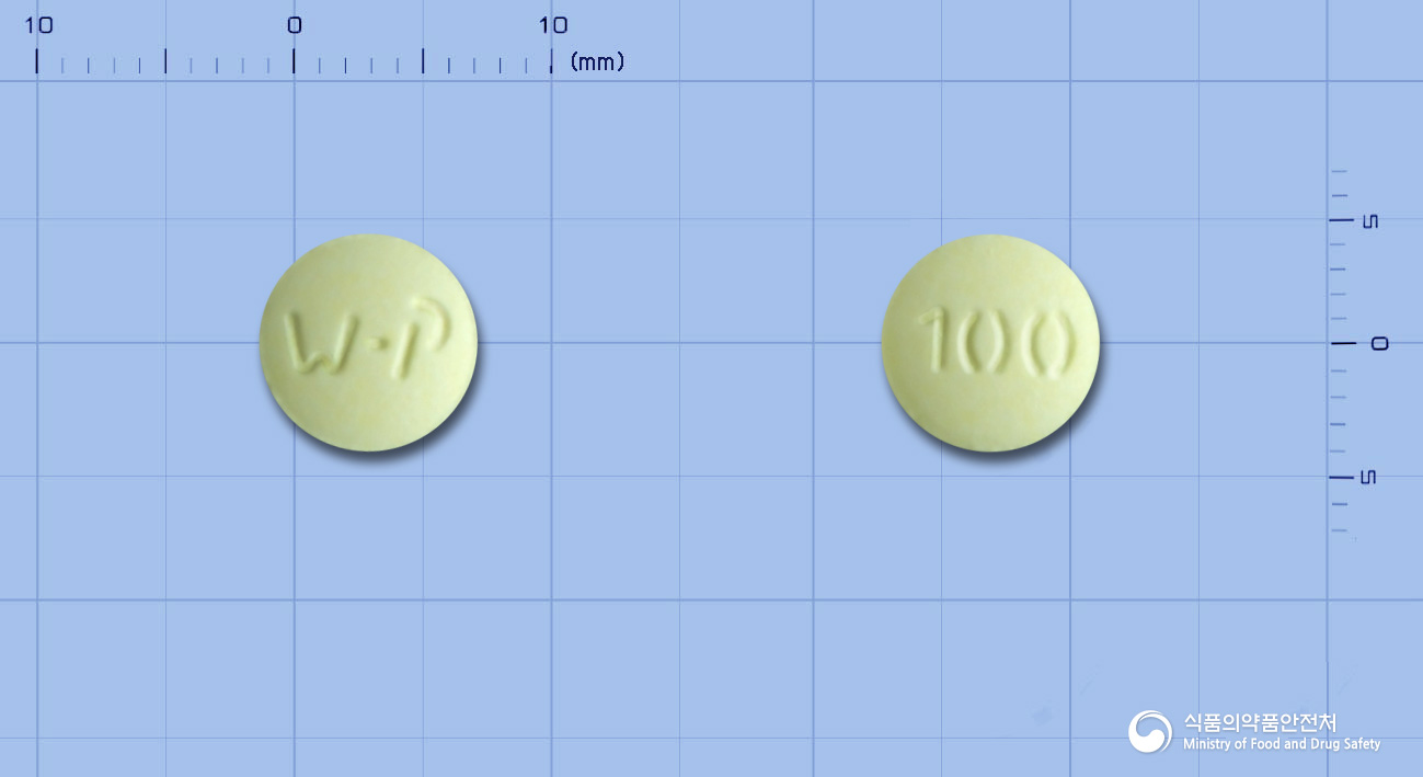 하이록신정100mg(레보플록사신수화물)