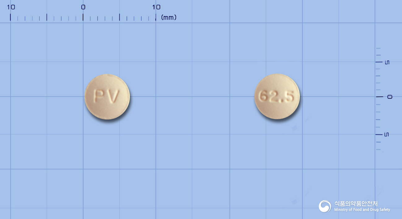 보센브이정62.5밀리그램(보센탄수화물)