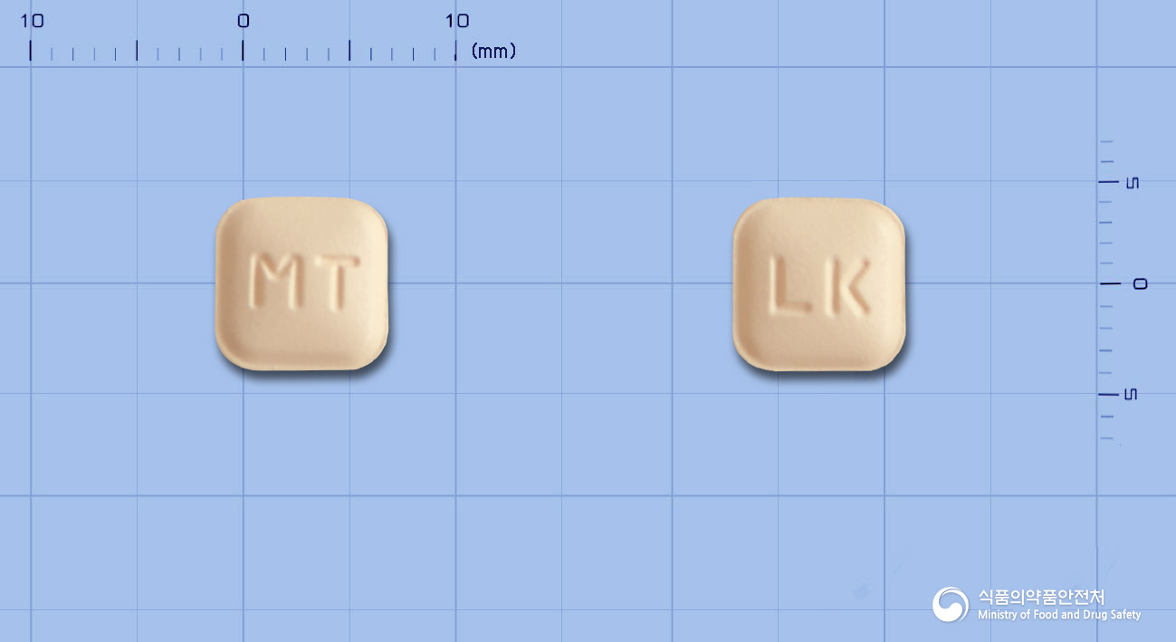 모노루카정10mg(몬테루카스트나트륨)