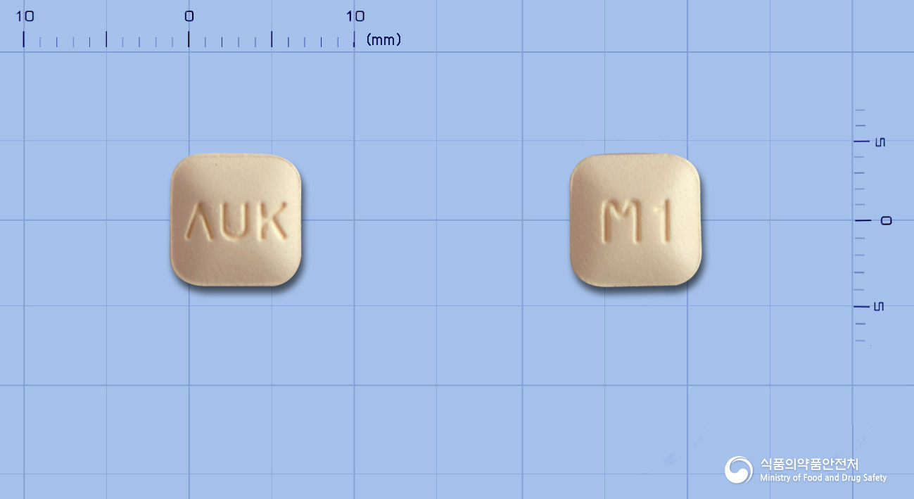 몬테스코정10mg(몬테루카스트나트륨)