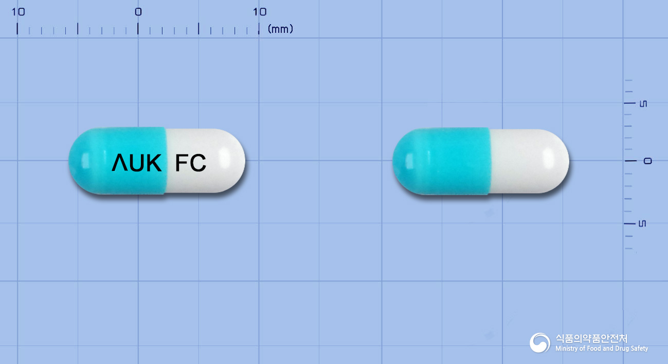 오스코나졸캡슐(플루코나졸)