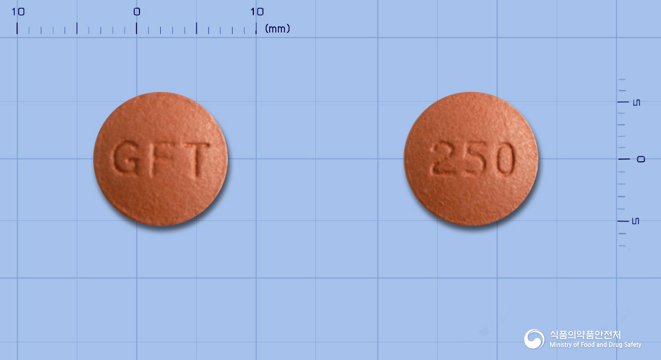 제피티닙정(게피티니브)