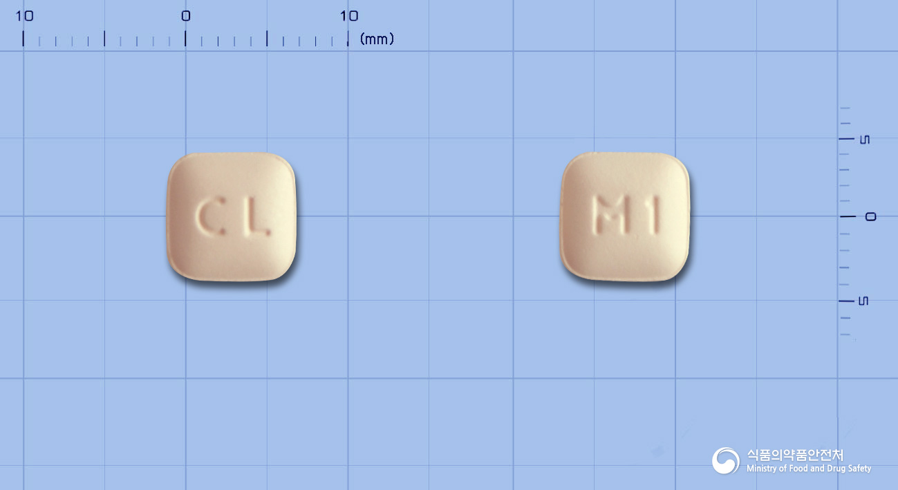 몬테라정10밀리그램(몬테루카스트나트륨)