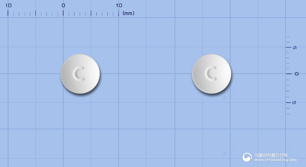 씨앤피정(카모스타트메실산염)