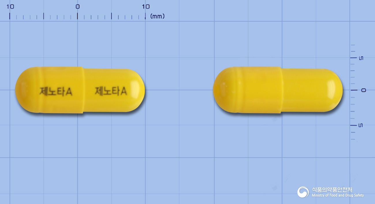 제노타에이캡슐