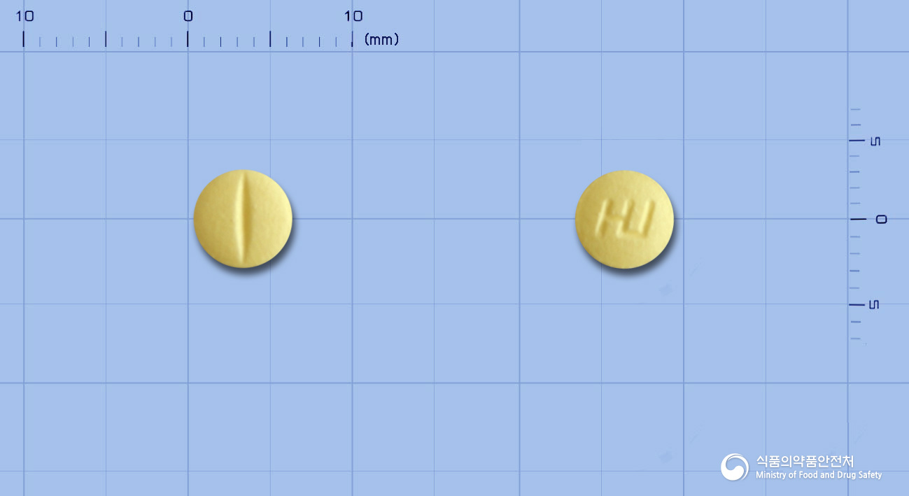 레카르딥정(레르카니디핀염산염)