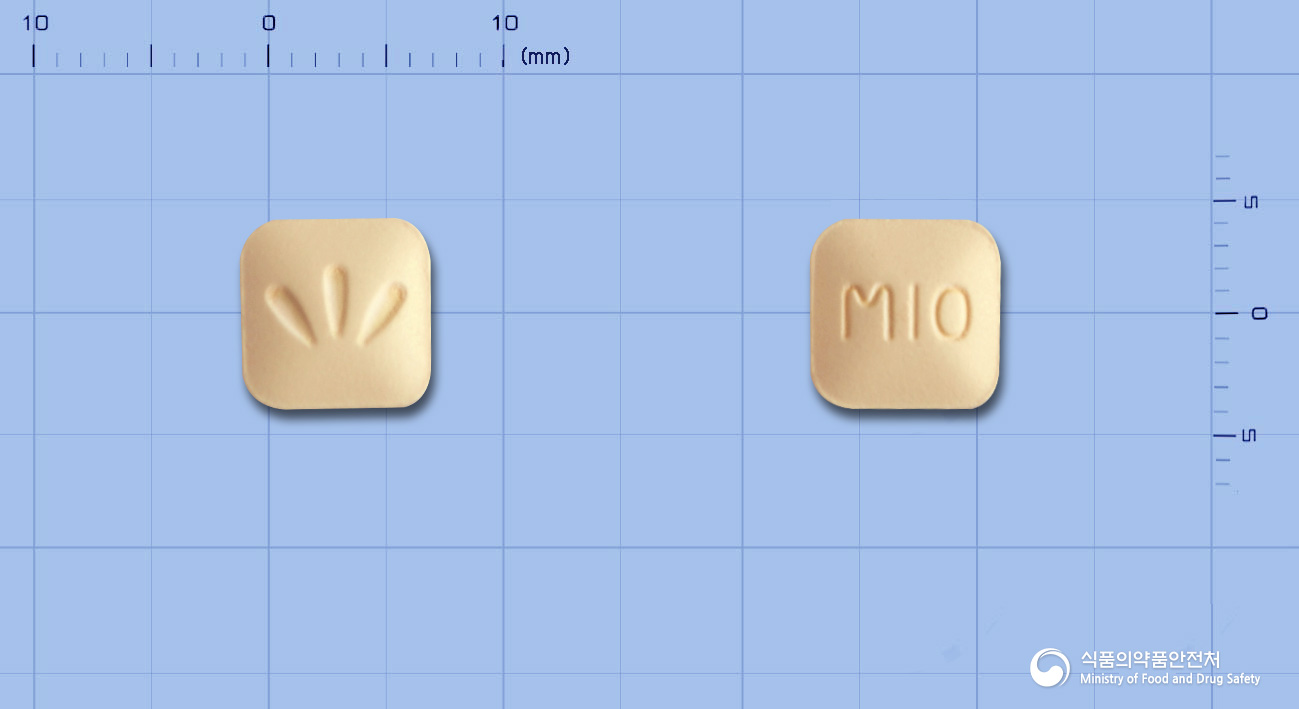루이카정10밀리그램(몬테루카스트나트륨)