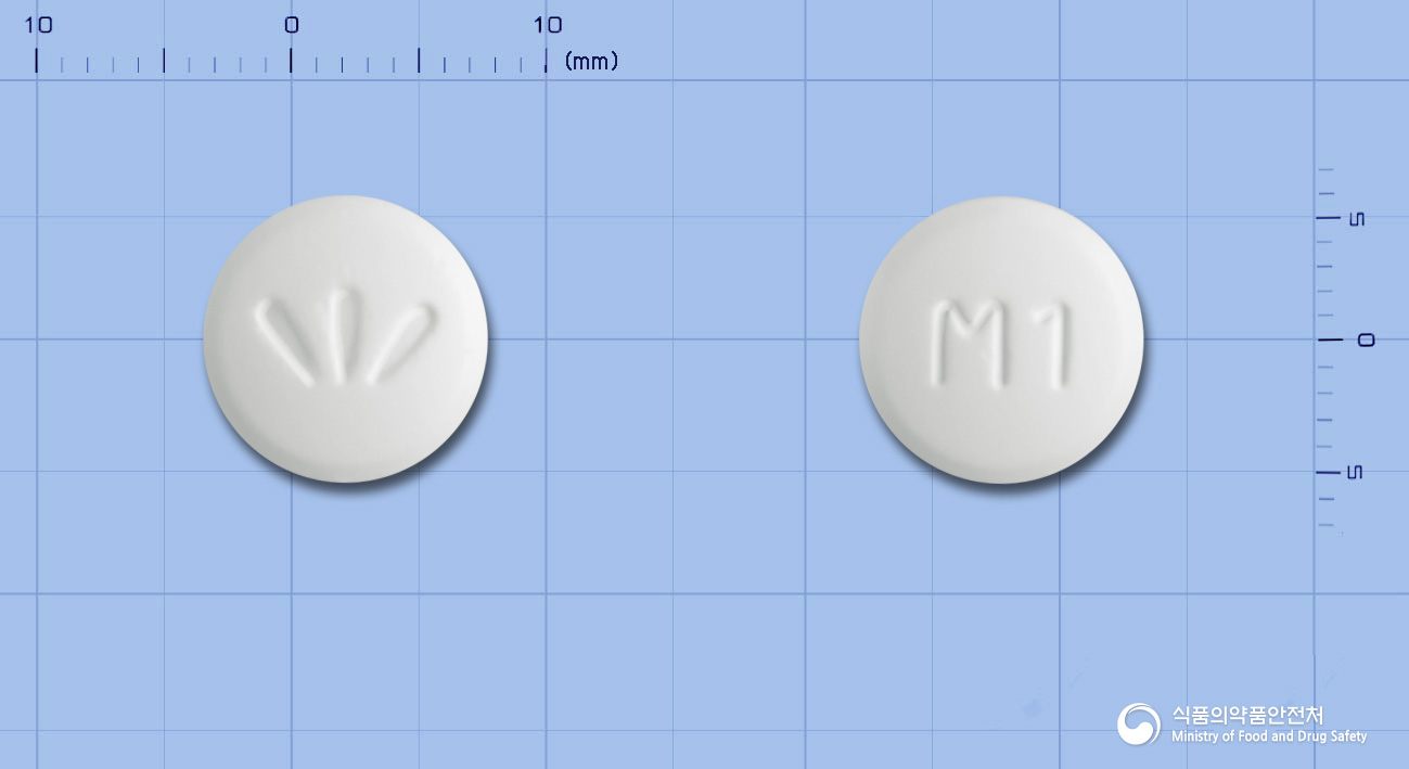 다이포민정500밀리그램(메트포르민염산염)