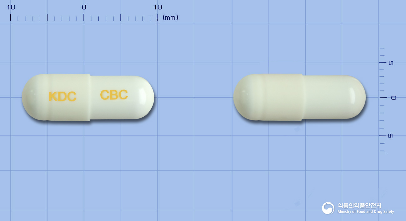 쎌브릭캡슐(세레콕시브)