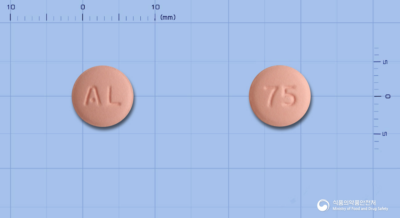 프래빅스정(클로피도그렐황산수소염)