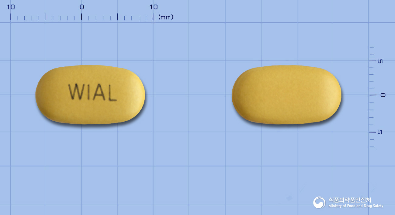 알포세틴정(콜린알포세레이트)