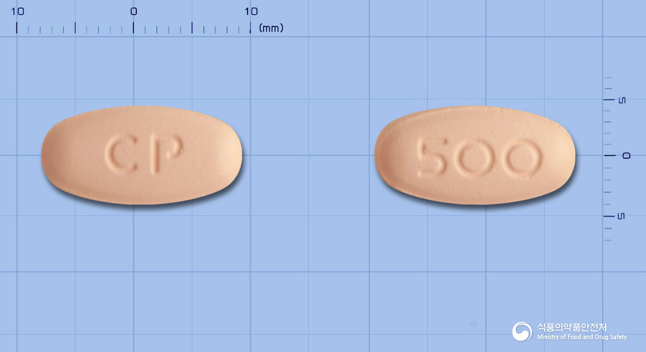 레플록신정500mg(레보플록사신)