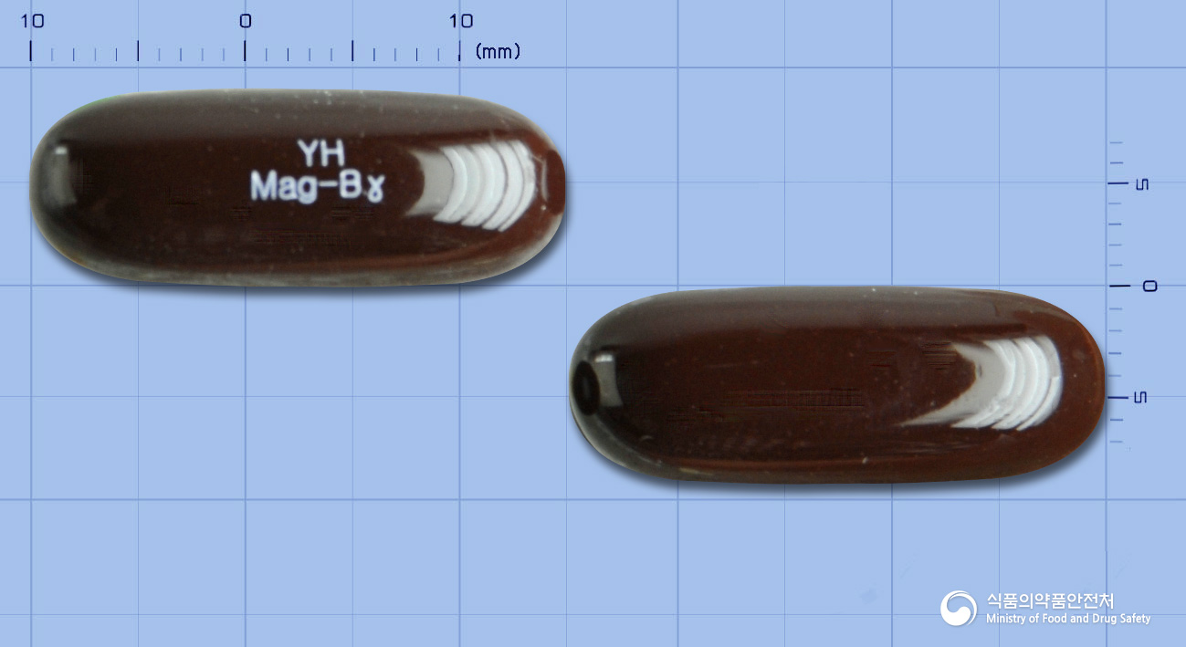 마그비감마연질캡슐