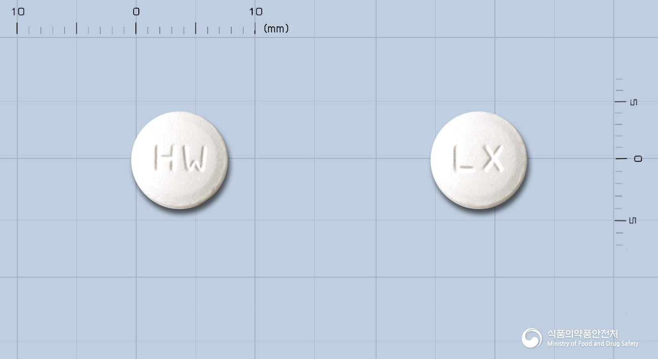 맥스사신정(레보플록사신수화물)