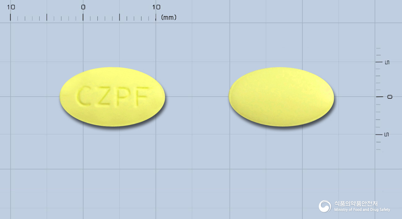 코자르탄플러스에프정