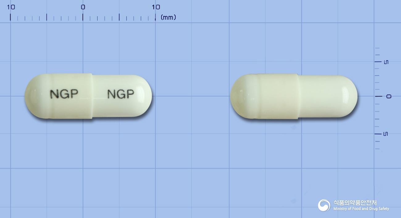 쎄레젠캡슐200mg(세레콕시브)