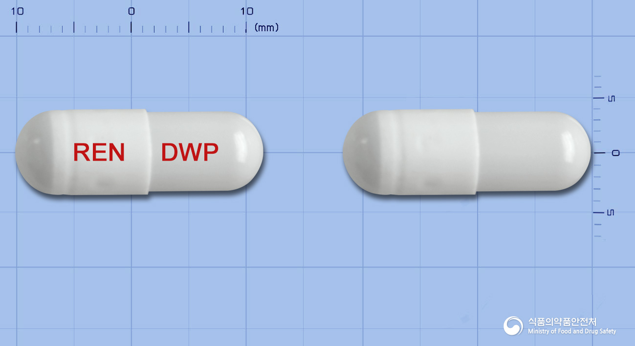 레나메진캡슐(구형흡착탄)