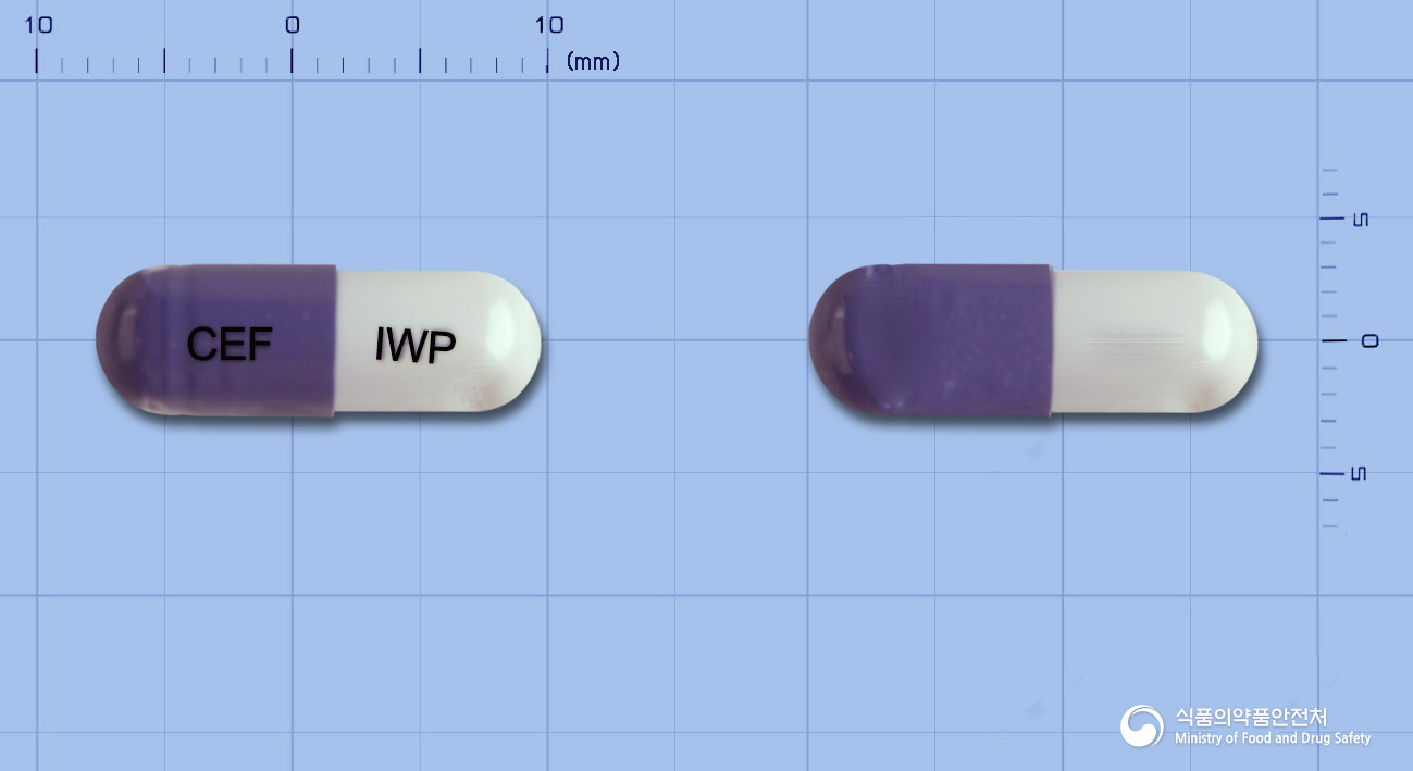 세프클러캡슐250밀리그램(세파클러수화물)