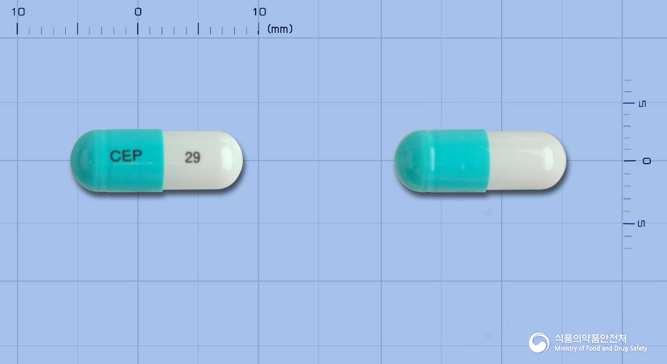 셀루나캡슐50밀리그램(플루코나졸)