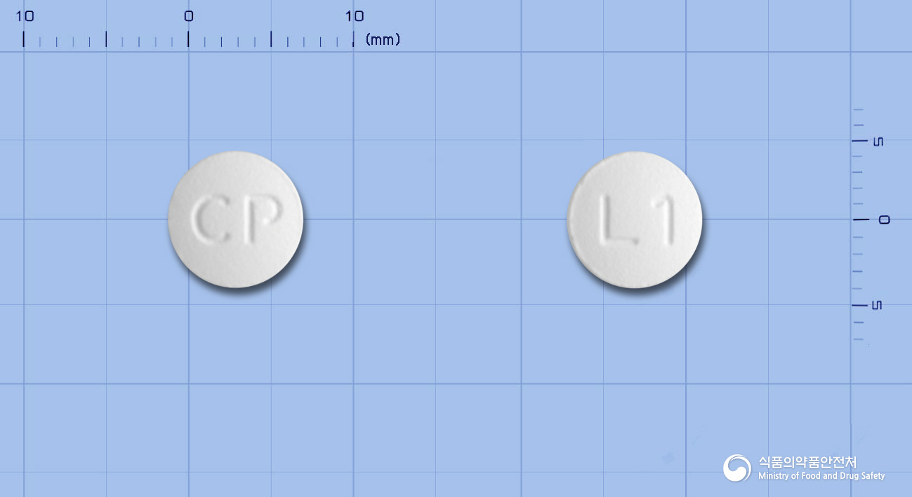 레플록신정100mg(레보플록사신)