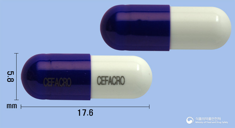 세파크로캡슐250mg(세파클러수화물)