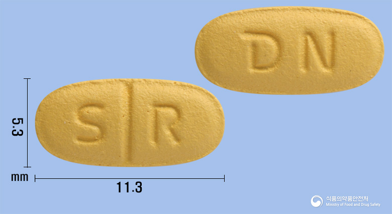 세로본플러스정