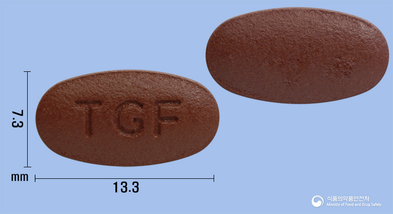 타겐에프정(빌베리건조엑스)